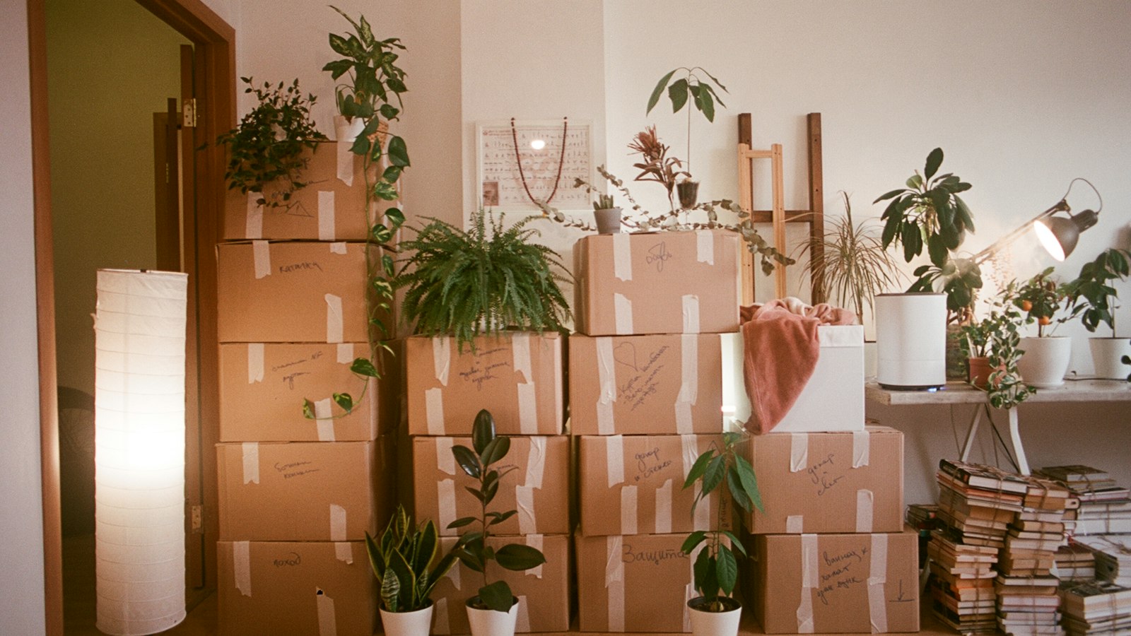 Moving boxes stacked in a Vernon home during a move between two properties