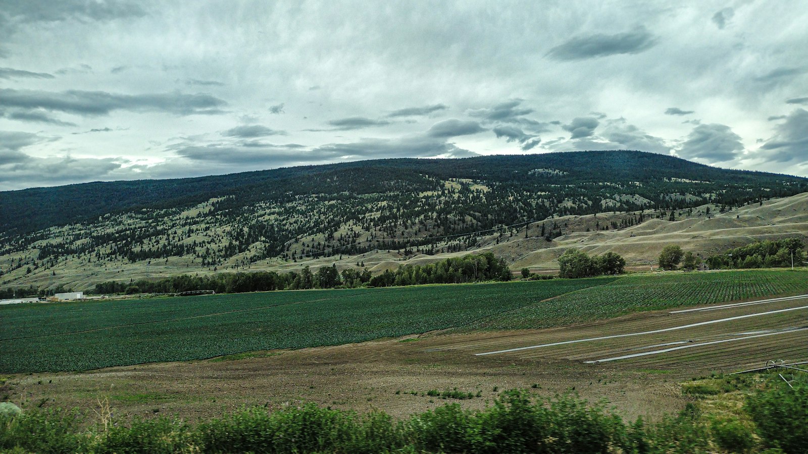 Rolling hobby farm acreage with fields and hills near Vernon, BC