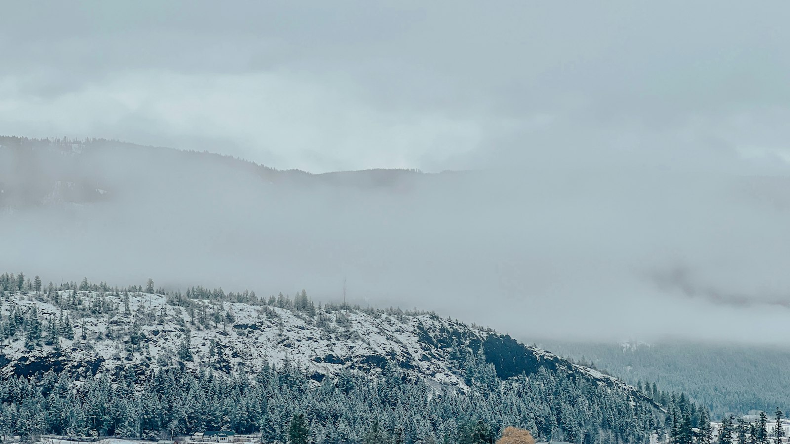Snow-covered hillside above the Okanagan Valley near Vernon on a sunny winter day