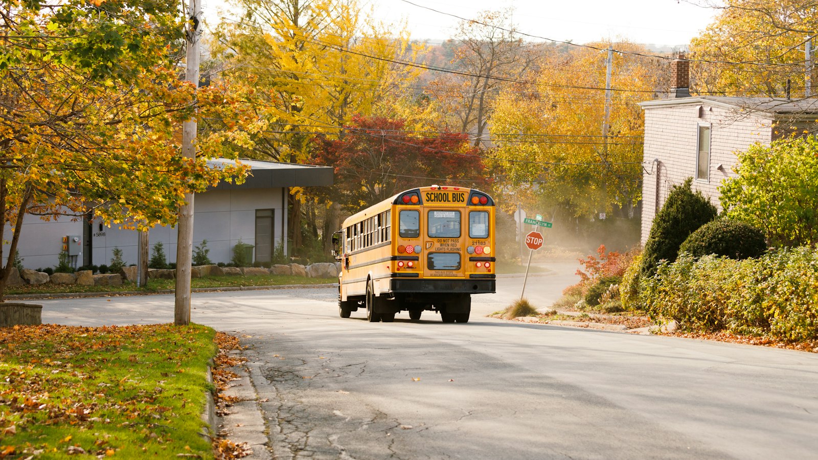 Yellow school bus on a residential street, representing school catchments in Vernon, BC
